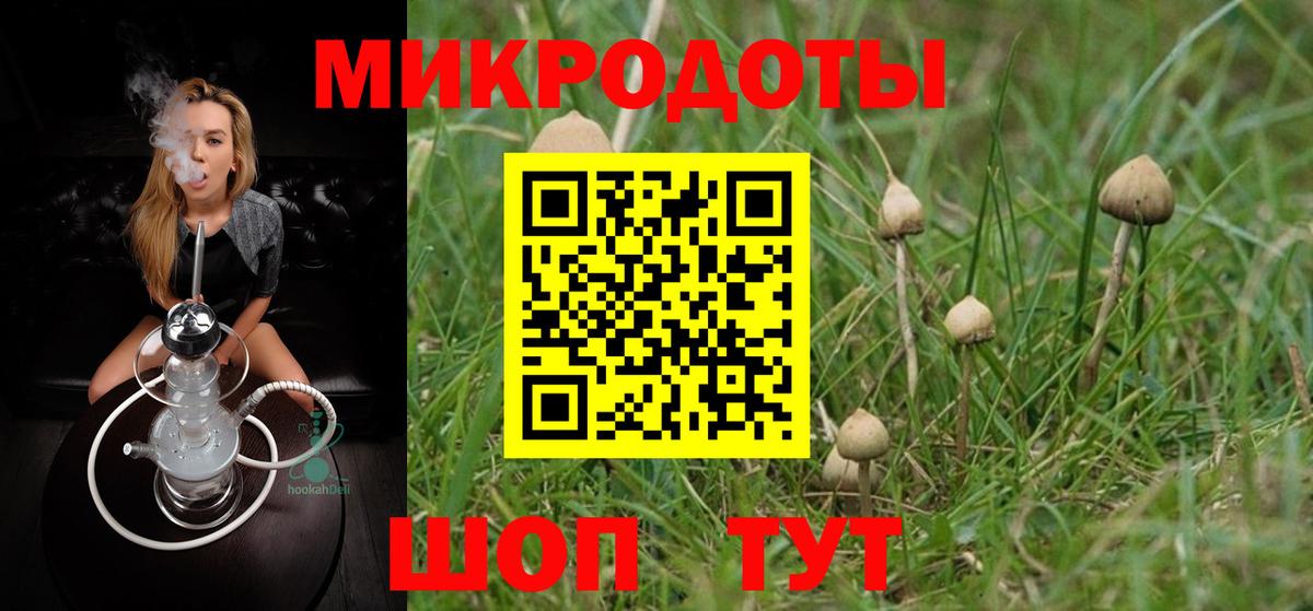 Псилоцибиновые грибы ЛСД  Вход с VPN  Горно-Алтайск 